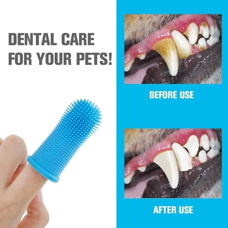 FreshBite Brush